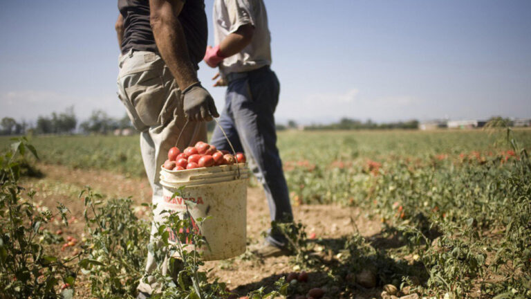 Scopri di più sull'articolo Il caporalato agricolo nella Puglia degli anni ‘60-’90 – di Angelo Leo