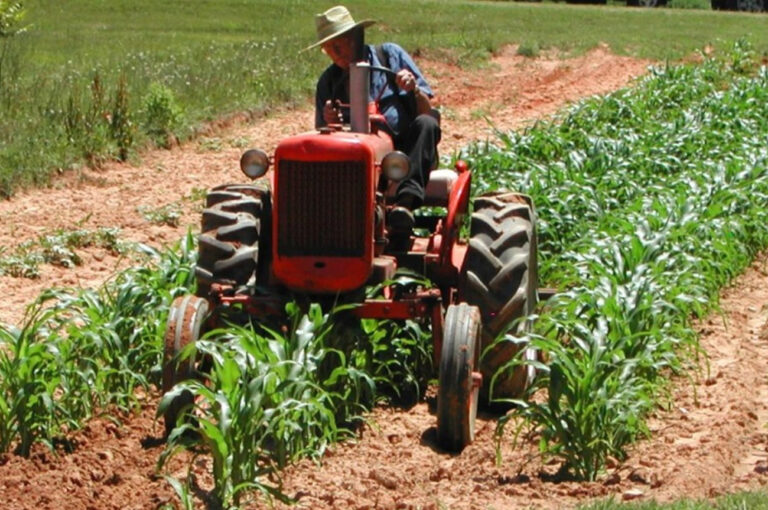 Scopri di più sull'articolo Operai agricoli, se 78 giorni l’anno vi sembran tanti provate voi a campar – di Frida Nacinovich