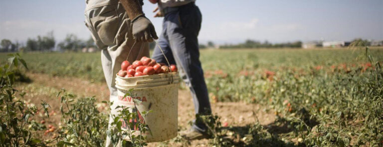 Scopri di più sull'articolo #LeRadiciDelLavoro – di Andrea Gambillara