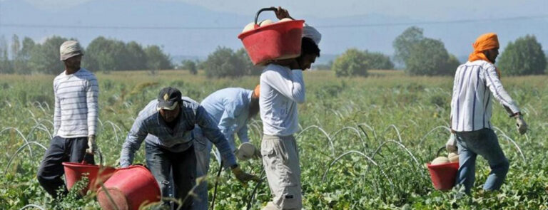 Scopri di più sull'articolo Agroalimentare a Verona: esistono anche i lavoratori immigrati – di Mariapia Mazzasette