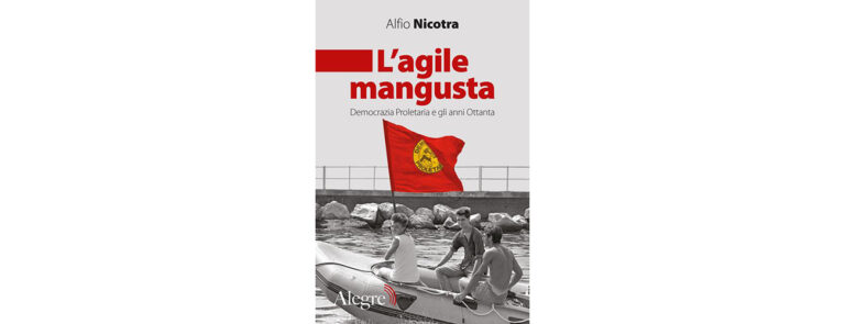 Scopri di più sull'articolo Democrazia Proletaria: la “nuova sinistra” nella Repubblica veramente parlamentare – di Andrea Montagni