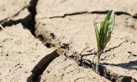 Siccità e allagamenti: due conseguenze del cambiamento climatico – di Simona Fabiani