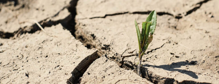 Scopri di più sull'articolo Siccità e allagamenti: due conseguenze del cambiamento climatico – di Simona Fabiani