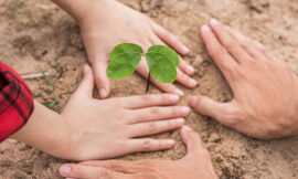 Cambiare il sistema per salvare ambiente e clima – di Simona Fabiani