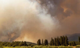 Emergenza clima: servono scelte coerenti di politica locale – di Daniela Droghetti