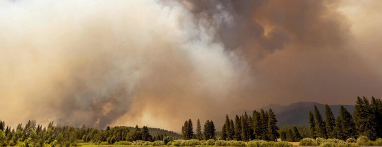 Scopri di più sull'articolo Emergenza clima: servono scelte coerenti di politica locale – di Daniela Droghetti