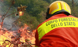 Forestali, gli angeli dei boschi fra incendi, bombe d’acqua e siccità – di Frida Nacinovich