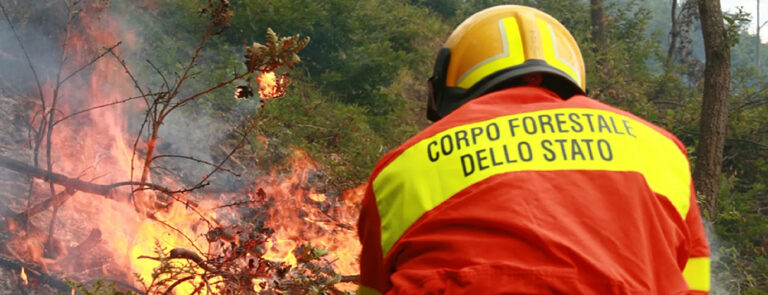 Scopri di più sull'articolo Forestali, gli angeli dei boschi fra incendi, bombe d’acqua e siccità – di Frida Nacinovich