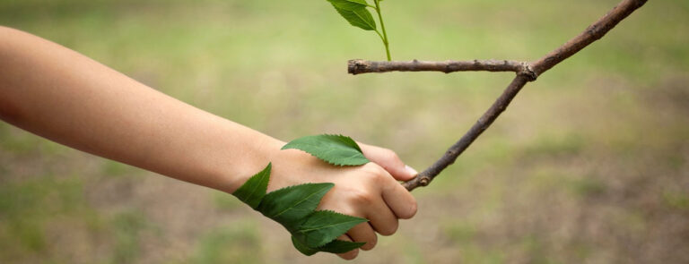 Scopri di più sull'articolo Informazione, processi produttivi e cambiamento climatico. Breve reportage sul giornalismo d’inchiesta ambientale italiano – di Fabrizio Denunzio