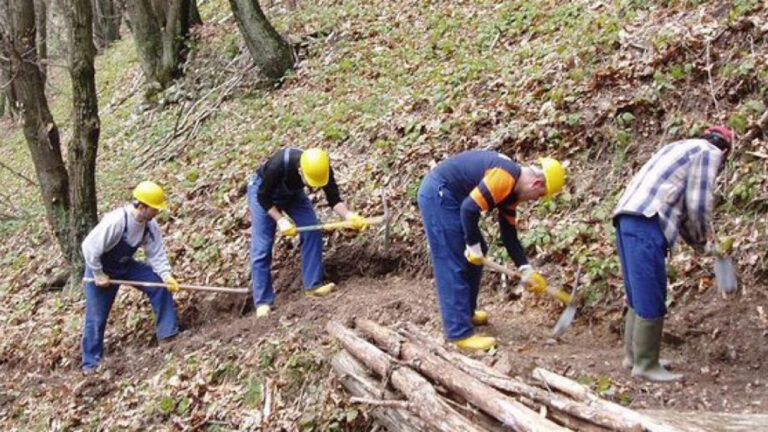 Scopri di più sull'articolo Forestali in Sicilia, gli infermieri del territorio – di Frida Nacinovich