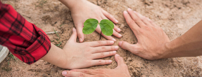 Scopri di più sull'articolo Cambiare il sistema per salvare ambiente e clima – di Simona Fabiani